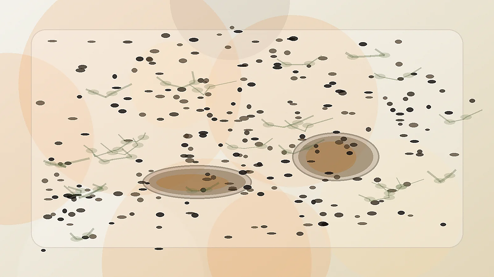 Cuillère d’huile de nigelle prête à être prise avec une routine douce