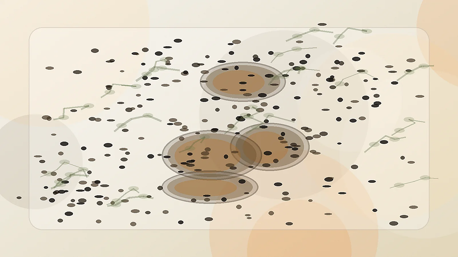 Routine huile de nigelle — à boire