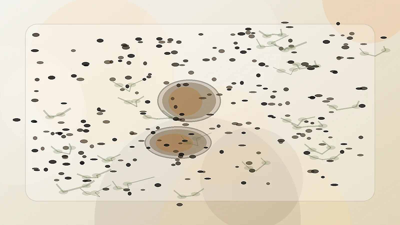Huile de nigelle et graines dans une scène naturelle orientée bienfaits