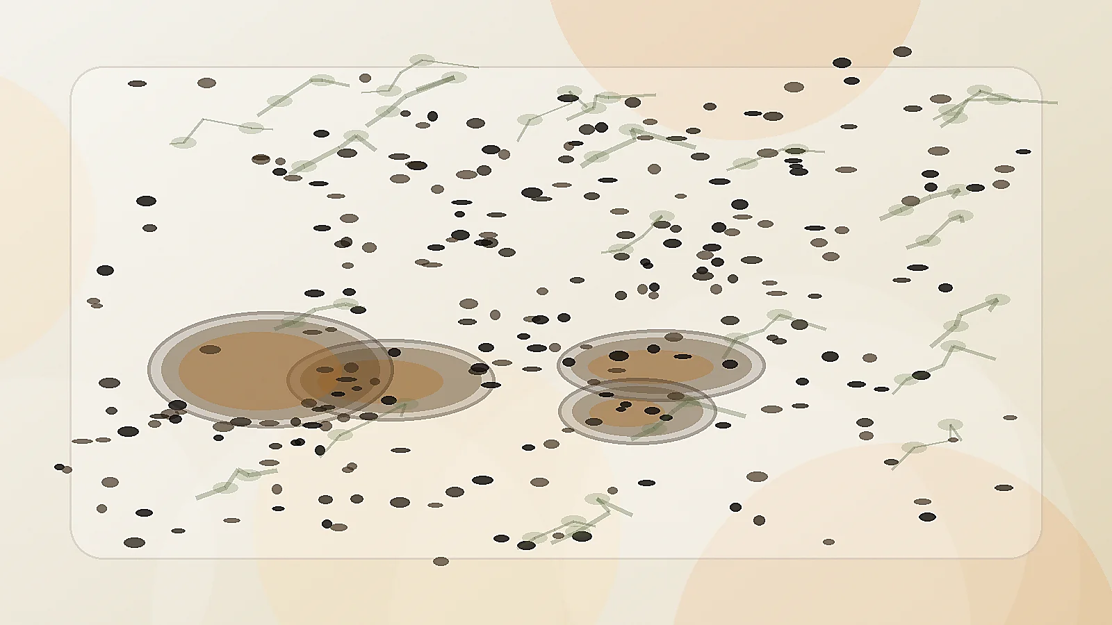 Routine huile de nigelle — bienfaits