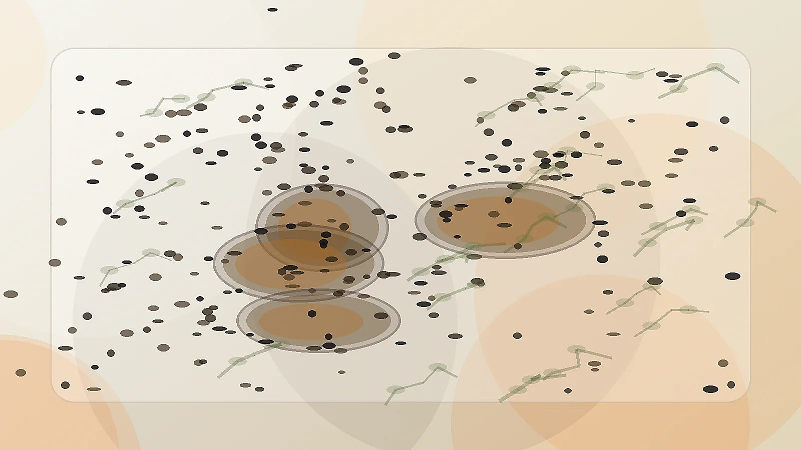 Routine huile de nigelle — qualité
